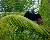Enlarge photo 40