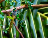 Enlarge photo 47