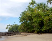 Enlarge photo 51