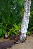 Enlarge photo 52