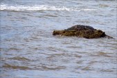 Enlarge photo 54