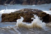 Enlarge photo 56