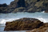 Enlarge photo 58