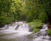 Enlarge photo 61
