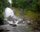 Enlarge photo 64