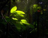 Enlarge photo 65