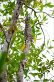 Enlarge photo 38