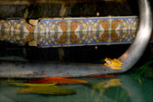 Enlarge photo 61