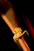 Enlarge photo 69
