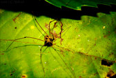 Enlarge photo 71