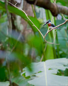 Enlarge photo 26