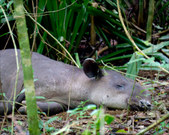 Enlarge photo 33