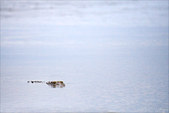 Enlarge photo 35