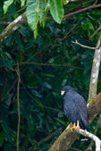 Enlarge photo 40