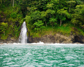Enlarge photo 52