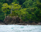 Enlarge photo 54