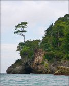 Enlarge photo 56