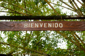 Enlarge photo 64