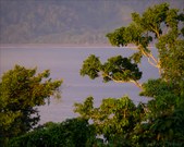 Enlarge photo 48