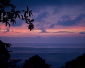 Enlarge photo 49