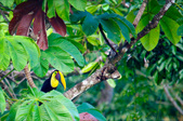 Enlarge photo 41