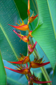 Enlarge photo 16