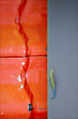 Enlarge photo 26