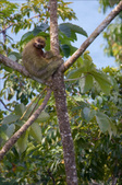 Enlarge photo 29