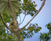 Enlarge photo 30