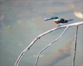 Enlarge photo 36