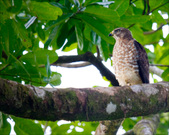 Enlarge photo 40
