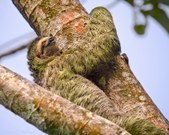 Enlarge photo 11