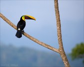 Costa Rica