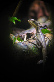 Enlarge photo 18