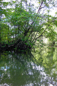 Enlarge photo 29
