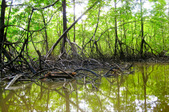 Enlarge photo 30