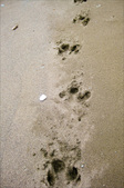 Enlarge photo 35