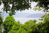 Enlarge photo 44