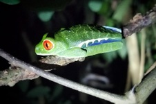 Costa Rica 2017 (Phone)