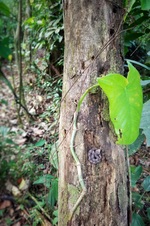 Enlarge photo 14