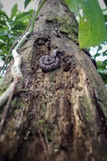 Enlarge photo 15