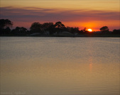Enlarge photo 60