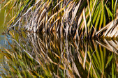 Enlarge photo 62