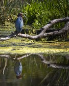 Enlarge photo 14