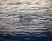 Enlarge photo 47
