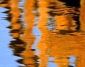 Enlarge photo 56
