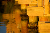 Enlarge photo 67