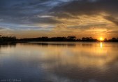 Enlarge photo 58