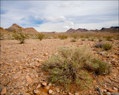 Enlarge photo 2