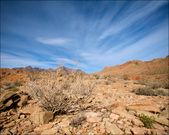 Enlarge photo 32